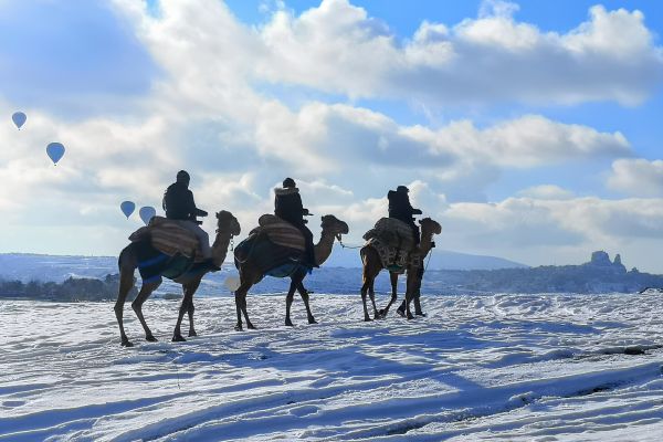 Camel Tour Reservation › Cappadocia Tour Booking | Cappadocia